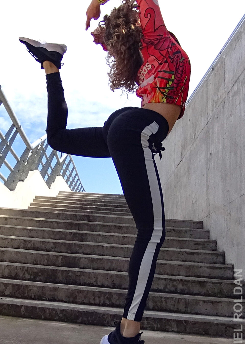 Mora en Terraza Casa